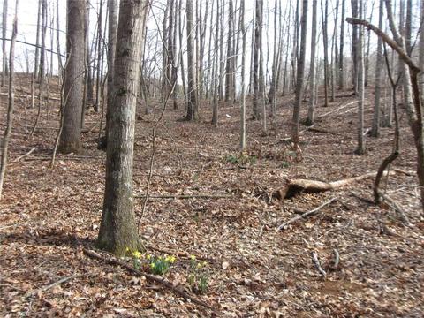 5387 Woolwine Hwy, Stuart, VA 24171 photo 26