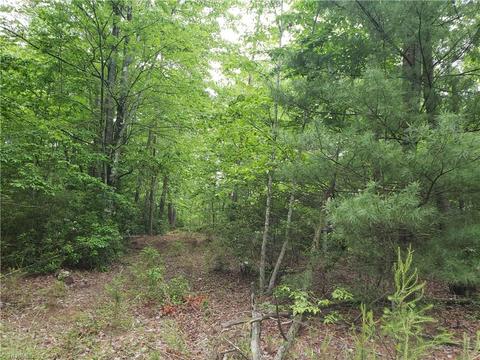 202 Cooper Shop Trl, Lowgap, NC 27024 photo 1