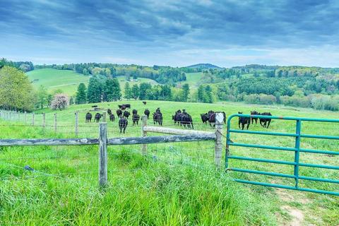 Undisclosed, Ennice, NC 28623 photo 23