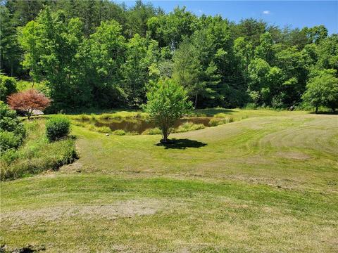 126 Locust Run Ln, Lowgap, NC 27024 photo 6