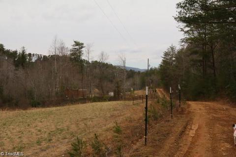 126 Locust Run Ln, Lowgap, NC 27024 photo 12