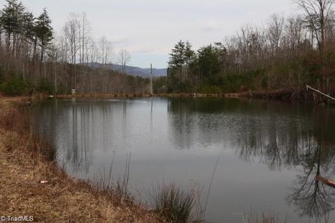 126 Locust Run Ln, Lowgap, NC 27024 photo 13