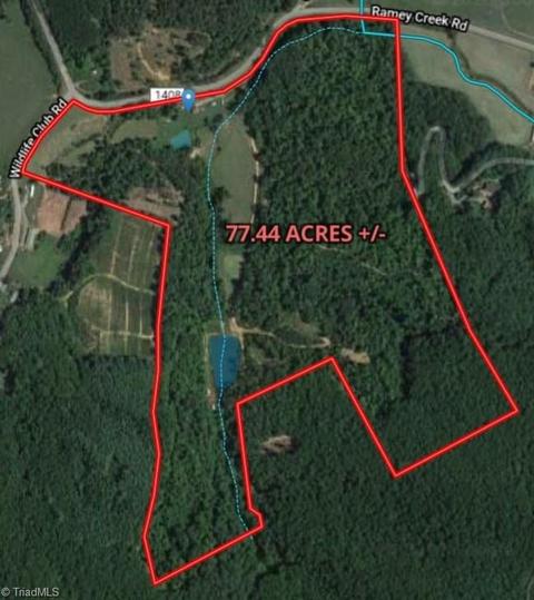 126 Locust Run Ln, Lowgap, NC 27024 photo 14