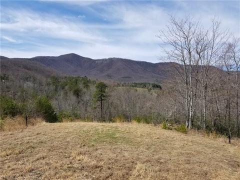 126 Locust Run Ln, Lowgap, NC 27024 photo 8
