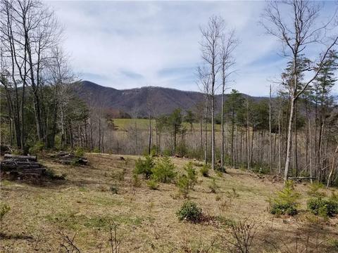 126 Locust Run Ln, Lowgap, NC 27024 photo 9