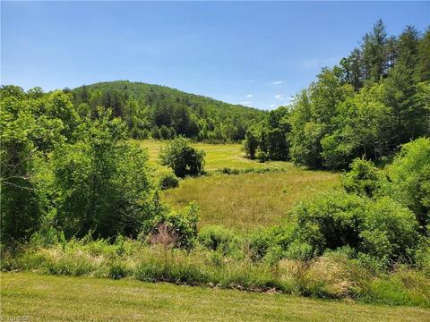 126 Locust Run Ln, Lowgap, NC 27024 photo 5