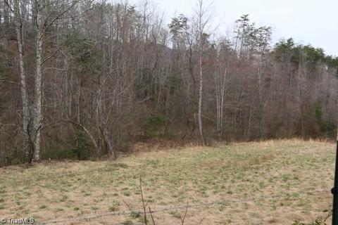 126 Locust Run Ln, Lowgap, NC 27024 photo 11