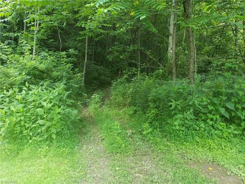 422 Eagle Hills Rd, Purlear, NC 28665 photo 24