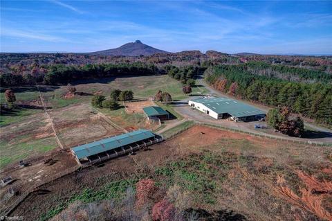 1450 E Old Phillips Rd, Pinnacle, NC 27043 photo 2