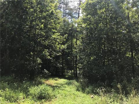 1012 Precinct Rd, Pilot Mountain, NC 27041 photo 11