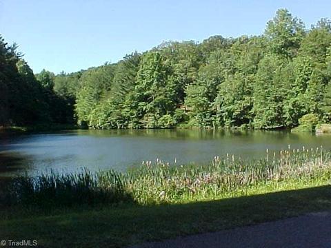 299 Panorama Dr, Fancy Gap, VA 24328 photo 8