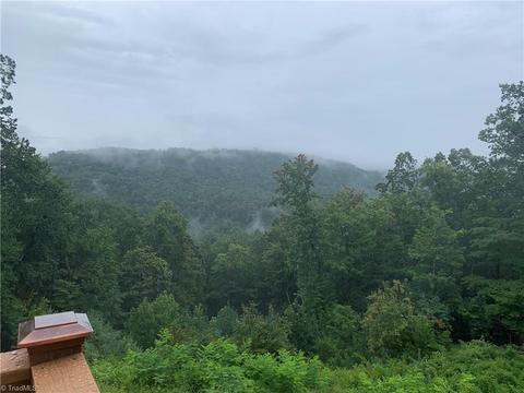 1645 Buck Mountain Rd, Purlear, NC 28665 photo 9