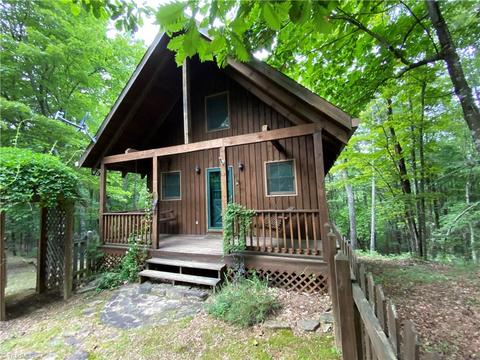 323 Doe Run, Purlear, NC 28665 photo 1