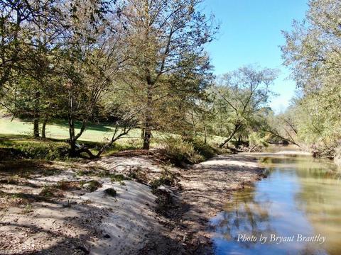 315 Old Forge Rd, Pilot Mountain, NC 27041 photo 43