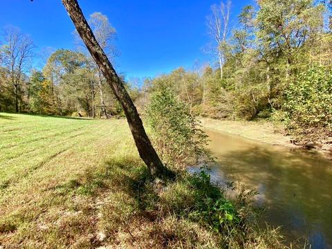 315 Old Forge Rd, Pilot Mountain, NC 27041 photo 38