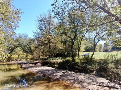 315 Old Forge Rd, Pilot Mountain, NC 27041 photo 4