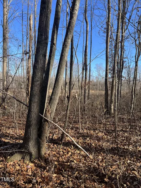 lot3 Carr Store Rd, Cedar Grove, NC 27231