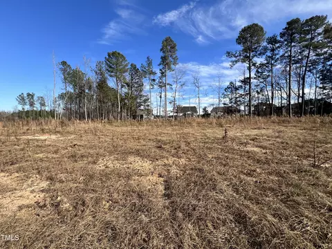 73 Hartwell Ct, Zebulon, NC 27597
