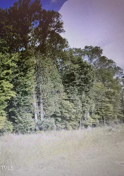 4 Hodges Dairy Rd, Yanceyville, NC 27379