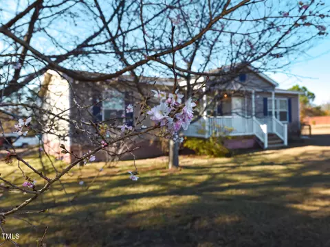 870 Wiggins Rd, Angier, NC 27501 photo 29