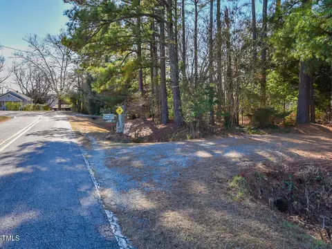 870 Wiggins Rd, Angier, NC 27501 photo 3