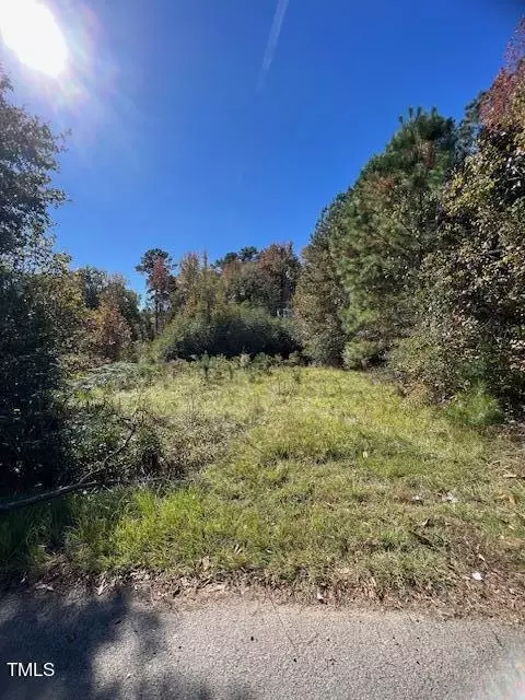 120 Moncure Loop Rd, Moncure, NC 27559 photo 4
