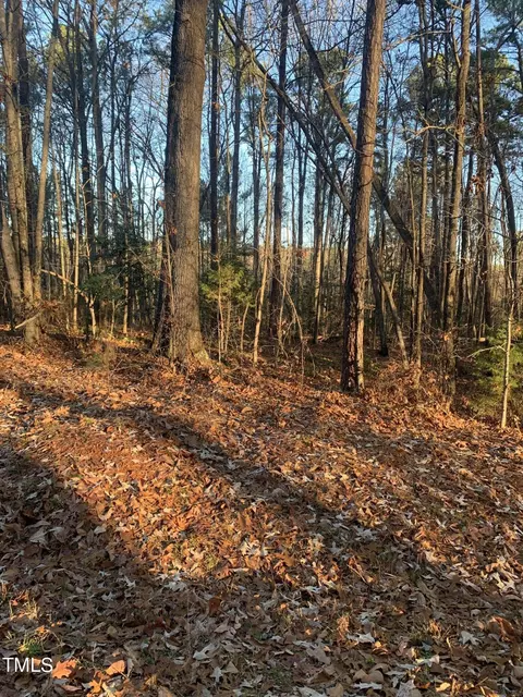 214 Rawhide Dr, Louisburg, NC 27549