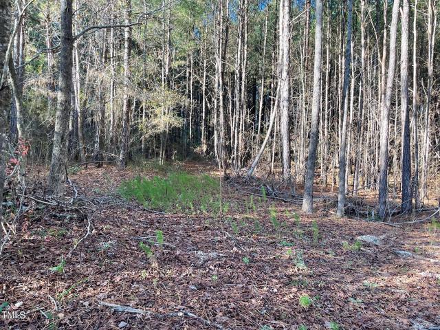 Homes For Sale In Harnett County Nc
