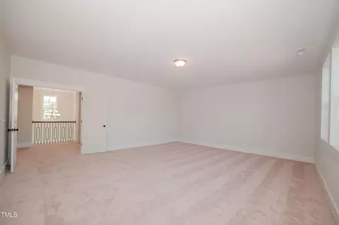 208 Streamside Dr, Angier, NC 27501 photo 29
