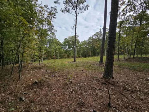 255 Gary Dr, Angier, NC 27501 photo 3