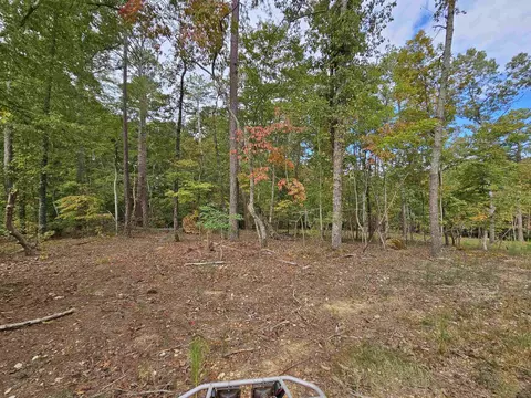 255 Gary Dr, Angier, NC 27501 photo 2
