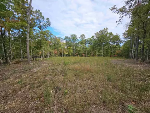 255 Gary Dr, Angier, NC 27501 photo 4