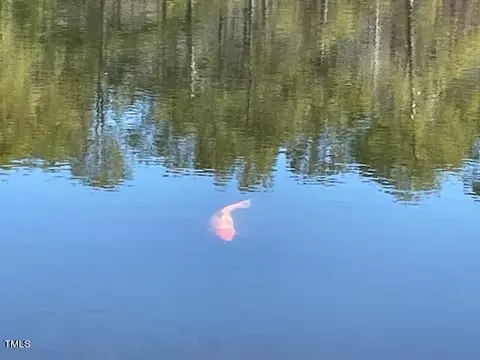 4962 Nc Highway 55, Erwin, NC 28339 photo 14
