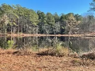 4962 Nc Highway 55, Erwin, NC 28339 photo 12