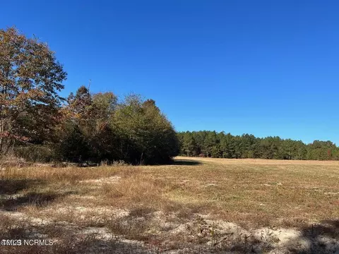 145 Hickory Pointer Way, Cameron, NC 28326 photo 3