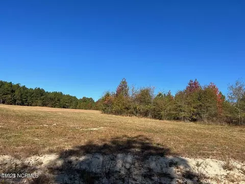 145 Hickory Pointer Way, Cameron, NC 28326 photo 4