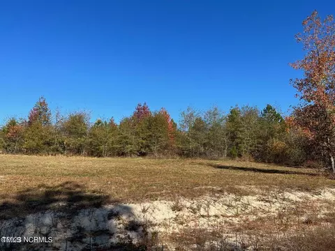 145 Hickory Pointer Way, Cameron, NC 28326 photo 2