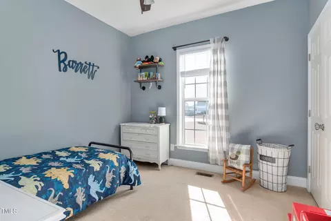 100 Viola Ln, Angier, NC 27501 photo 16