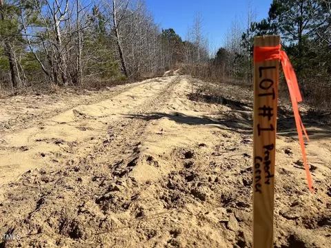 01 Josey Williams Rd, Erwin, NC 28339 photo 19