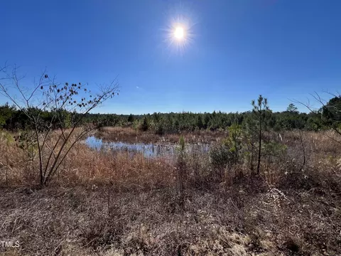 01 Josey Williams Rd, Erwin, NC 28339 photo 17