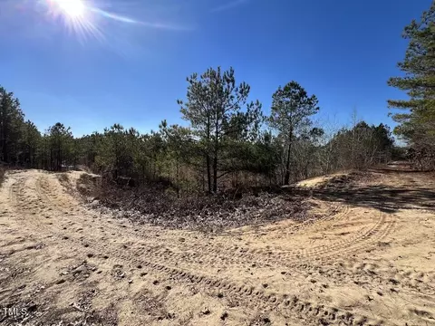 02 Josey Williams Rd, Erwin, NC 28339 photo 23