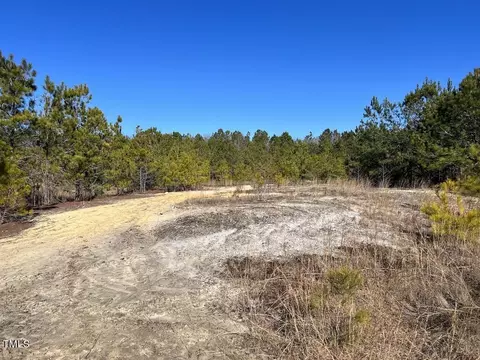 02 Josey Williams Rd, Erwin, NC 28339 photo 21