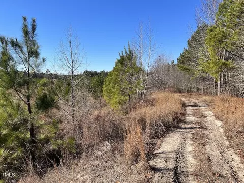 02 Josey Williams Rd, Erwin, NC 28339 photo 20
