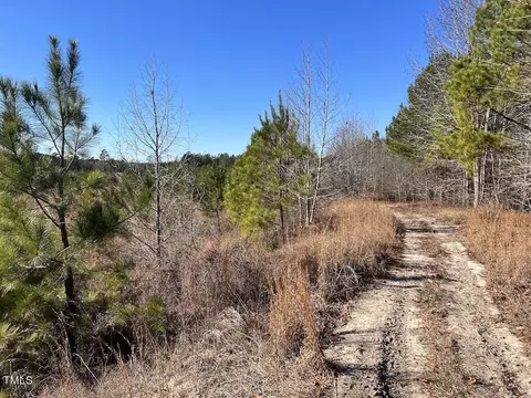 04 Josey Williams Rd, Erwin, NC 28339 photo 17