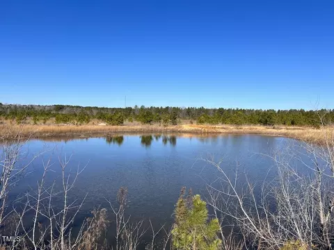 05 Josey Williams Rd, Erwin, NC 28339 photo 22