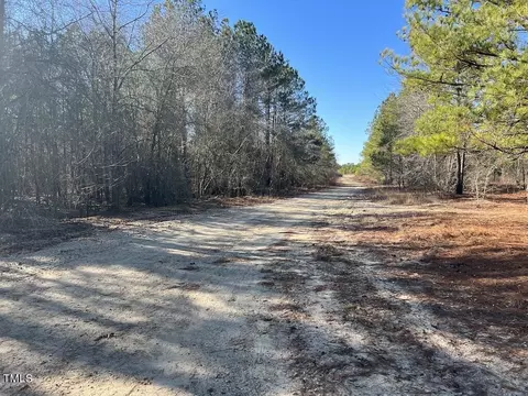 05 Josey Williams Rd, Erwin, NC 28339 photo 24