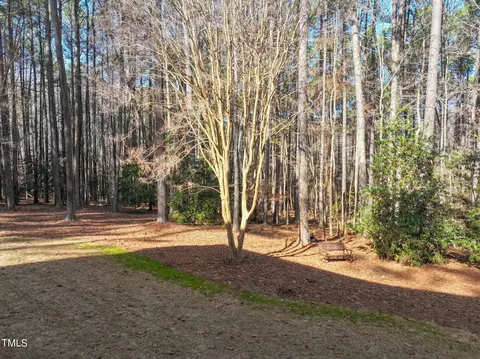 7220 Hayebury Dr, Wake Forest, NC 27587 photo 14