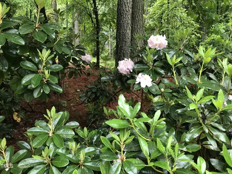 7220 Hayebury Dr, Wake Forest, NC 27587 photo 4
