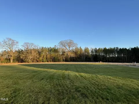 73 Disc Dr, Willow Spring, NC 27592 photo 15