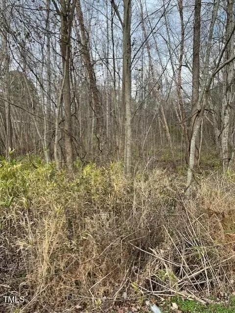 1293 Guy Rd, Clayton, NC 27520